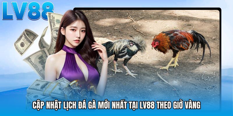 Cập Nhật Lịch Đá Gà Mới Nhất Tại LV88 Theo Giờ Vàng