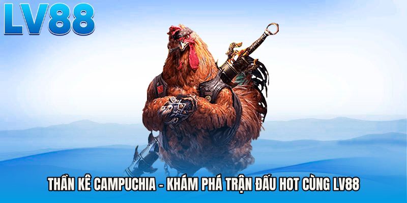 Thần Kê Campuchia - Khám Phá Trận Đấu Hot Cùng LV88