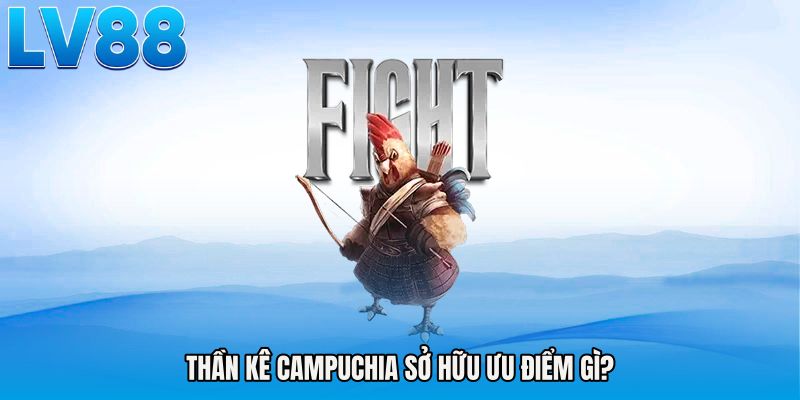 Thần kê campuchia sở hữu ưu điểm gì?