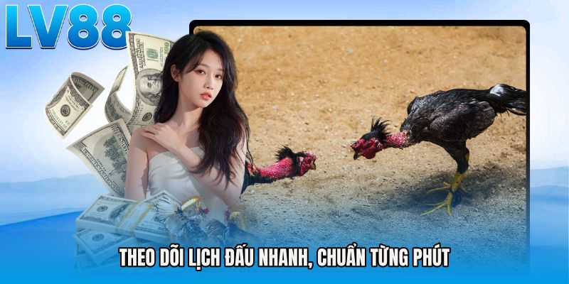 Theo dõi lịch đấu nhanh, chuẩn từng phút
