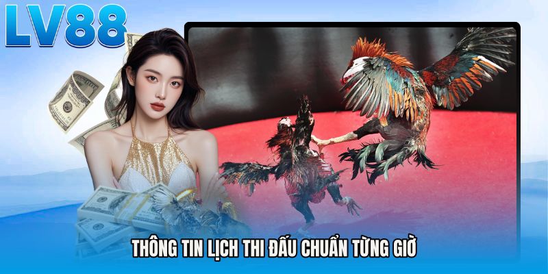 Thông tin lịch thi đấu chuẩn từng giờ