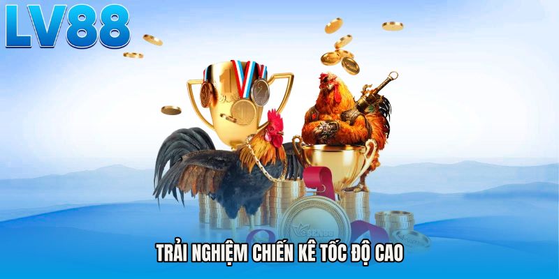 Trải nghiệm chiến kê tốc độ cao