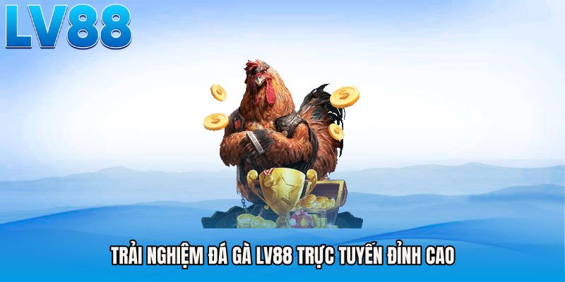 Trải nghiệm đá gà LV88 trực tuyến đỉnh cao
